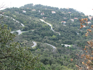 Hairpins